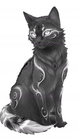 Creative: 9b0339017b3725e9c627d5c7fa617311