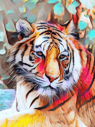Creative: 9ce48d960aceb252c51ad4b6c87feebc