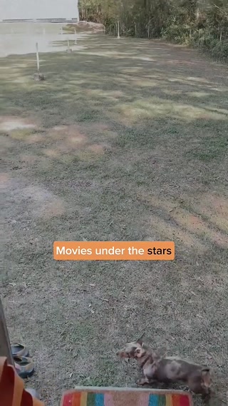 Creative: 9d6a7cfcdf5711f76c8054cd8e79a1bf