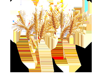 Creative: 9dc111a220a054072ded3de1863478c7