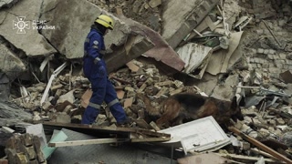 Creative: 9e90b615691dd16136fd6c8833909fd7