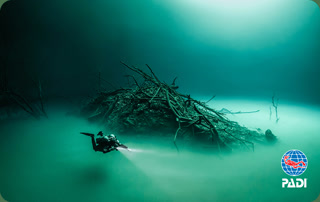 9ee42e3b0c97e54f1fd97ce0462c97db