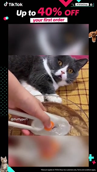 Creative: a021bec3d78532237952a66fcb8b1d94