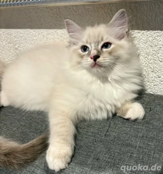 a0e58cb8f3aaf1c8a0aa08798099aeb7