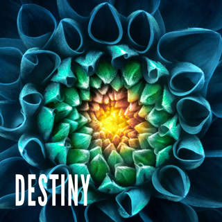 Creative: a0faf2f46dbdfd8b90b968b57ab63068