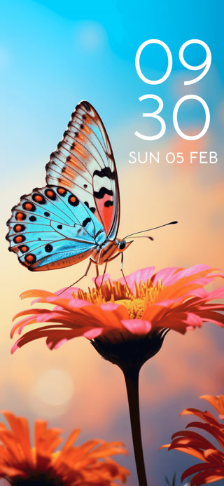 Creative: a1153cf751fd062fd48b78e9db83fe84