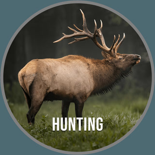 Creative: a1be9f7da26dae6e79866c06e93b4d42