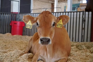 Creative: a1df0c195eef9b22d08a4cbb0de42930