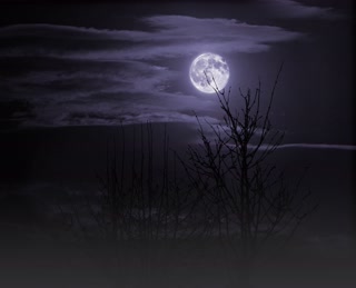 Creative: a44925b079e6e4c8c2053d3b7479e47b