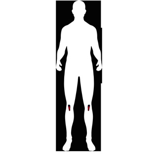 Creative: a51731192d25ae6592bfd5311e9a7696