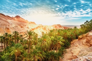 Creative: a587a08cc647e72e1c7f5d50d35cdd52