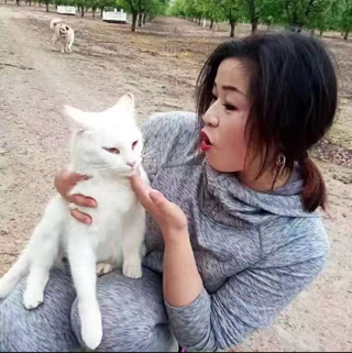 Creative: a5a32e64ae1f6e514f299dca5646f728