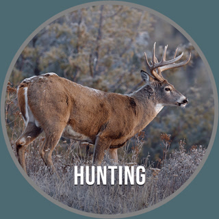 Creative: a5f4d83f62412df8b7213ccdeb9f9780