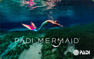 Creative: a766d01deb1fce670d6e3ce63abfcab5