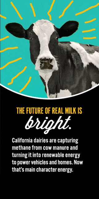 Creative: a76764f72748fe3def3d8e82b121bdb6