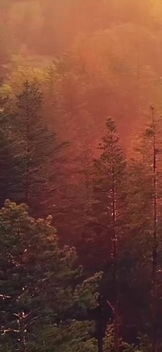 Creative: a84a736b690b72f98307e32a222a57e7