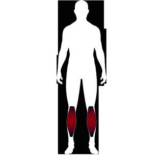 Creative: a850dc3bd8da11e77288881b13b9e838