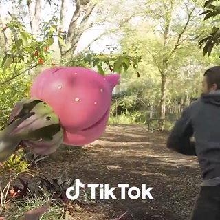 Creative: a8889087ec94a6f2ff2d2b9698488780