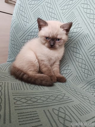 a895dffa549f57edfe30e839c02e05ca