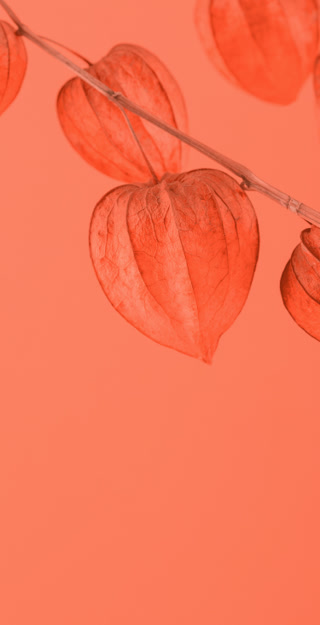 Creative: a8d11a5bbeabb8ae746f01ad37a4a404