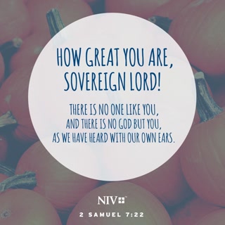 a90ce1f0d5aeff2a8c0d5a1106e131fc