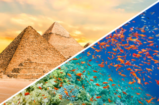 Creative: a9ffe1c1ad3a00864899625e5f6cfd71