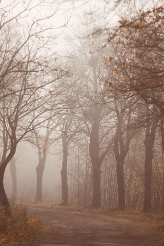 Creative: aa1ab96d87d83c062f97d349ece6183a