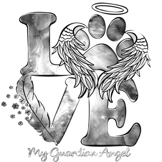 Creative: aa1ac328988f2a62874d988fe2e92566