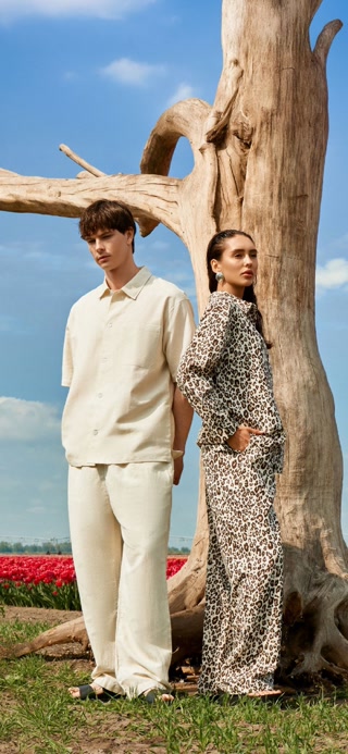 Creative: aca824ad2d6b809def6cc2e0a01e5f58