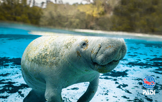 aebe6047d9924ab67d9cf90eefabcc7c