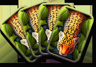 Creative: afb0fafb2d7219f30c20b095e70bdae6