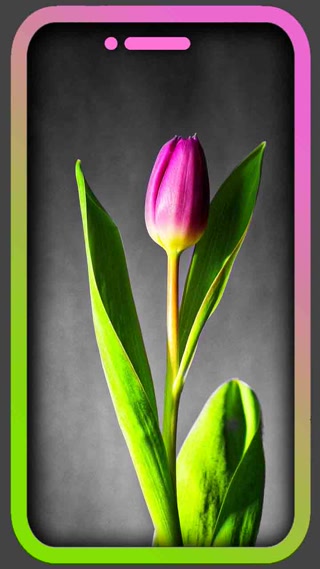 Creative: afd32666f09061aeacd88a8f23089f41