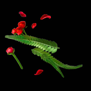 Creative: b079a3e4ccaf27dae629edee25a7a5e4