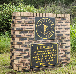 Creative: b098a68e583128c14e3600e1a49c31aa