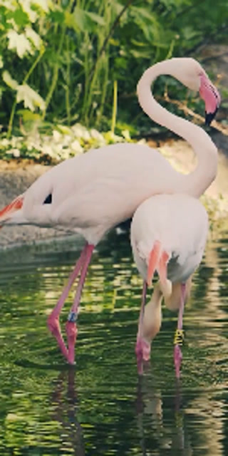 b0e7f2549ba89d98188d0143d099801c