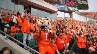 Creative: b0f31d8ca2bf871bc0f2af860ff343af