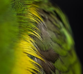 Creative: b109b300bdc15a8f188e233526b75d9b