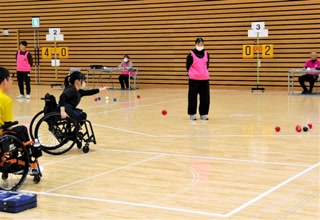 b1d81eead8e34a41f2dfd437dbff6371