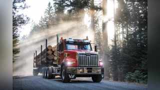 b1ed66174bc06d39aa37b2f3cb967865