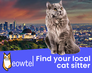 Creative: b23340e8d198e975c0bac775a69e38ec