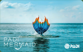 Creative: b2764b16735b30bd0915a16483b1d6bf