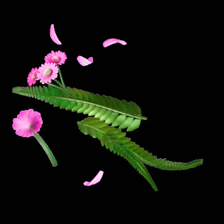 Creative: b38d64142ead321d9b9178b220d515cd