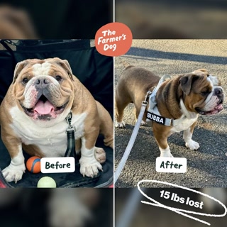 Creative: b3bb0aac8b12cb060f3ff2f5f15fd9a8