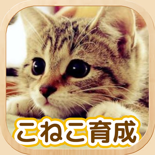 Creative: b4fa93d0c188bd76fb3ec99a49ab3752