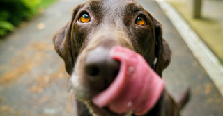 Creative: b782e0fa905a6da2ac7425f90801bf7d