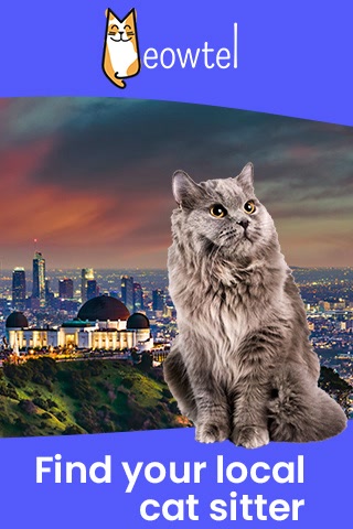 Creative: b78b2c2ee525d73d78fcc47c27861e79