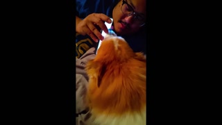 Creative thumbnail for b7a25f341e204dfefaced5515d4c18df