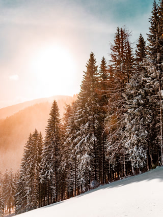 Creative: b7b586bc1e0d978940f5d4045e461c46