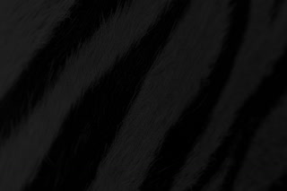 Creative: b84d125338601b17fdeae513d7bc4187