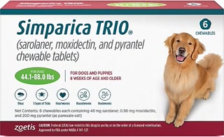 Creative: b98535a33d70ed7ed336f3565d2f04e5